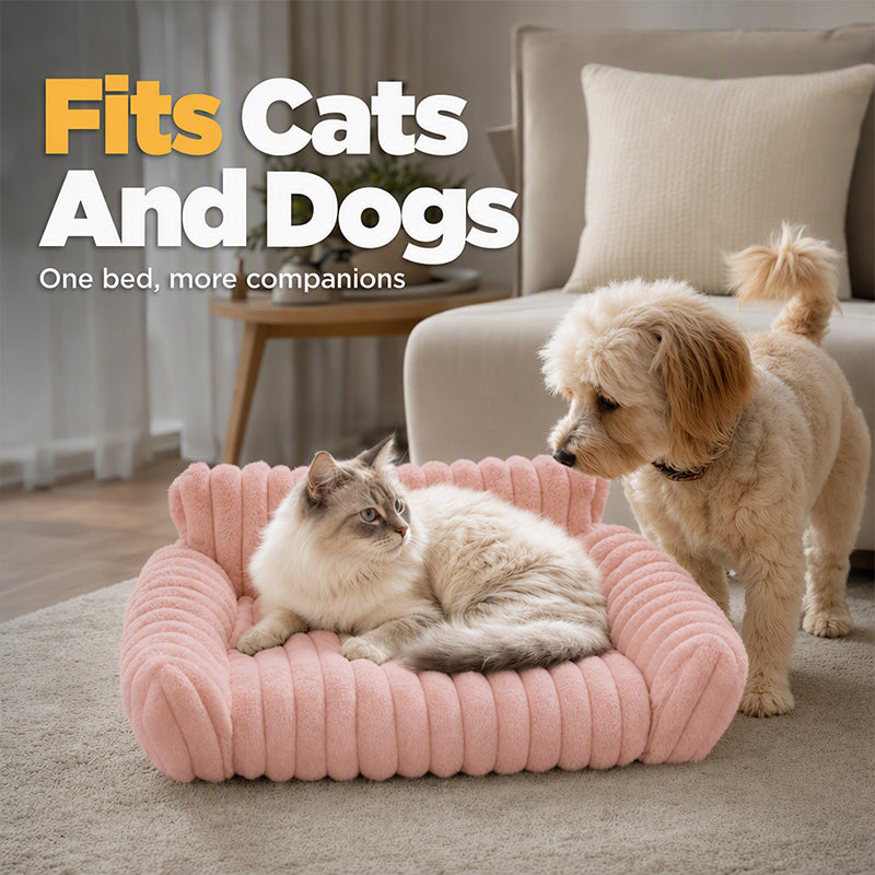 Cozy Sofa Pet Bed | Soft Plush Couch for Cats & Small Dogs